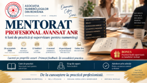 Mentorat Profesional Avansat ANR